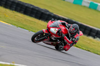 PJ-Motorsport-2019;anglesey-no-limits-trackday;anglesey-photographs;anglesey-trackday-photographs;enduro-digital-images;event-digital-images;eventdigitalimages;no-limits-trackdays;peter-wileman-photography;racing-digital-images;trac-mon;trackday-digital-images;trackday-photos;ty-croes